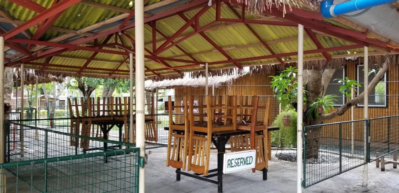 Tagudin Buenavista Family Inn מראה חיצוני תמונה