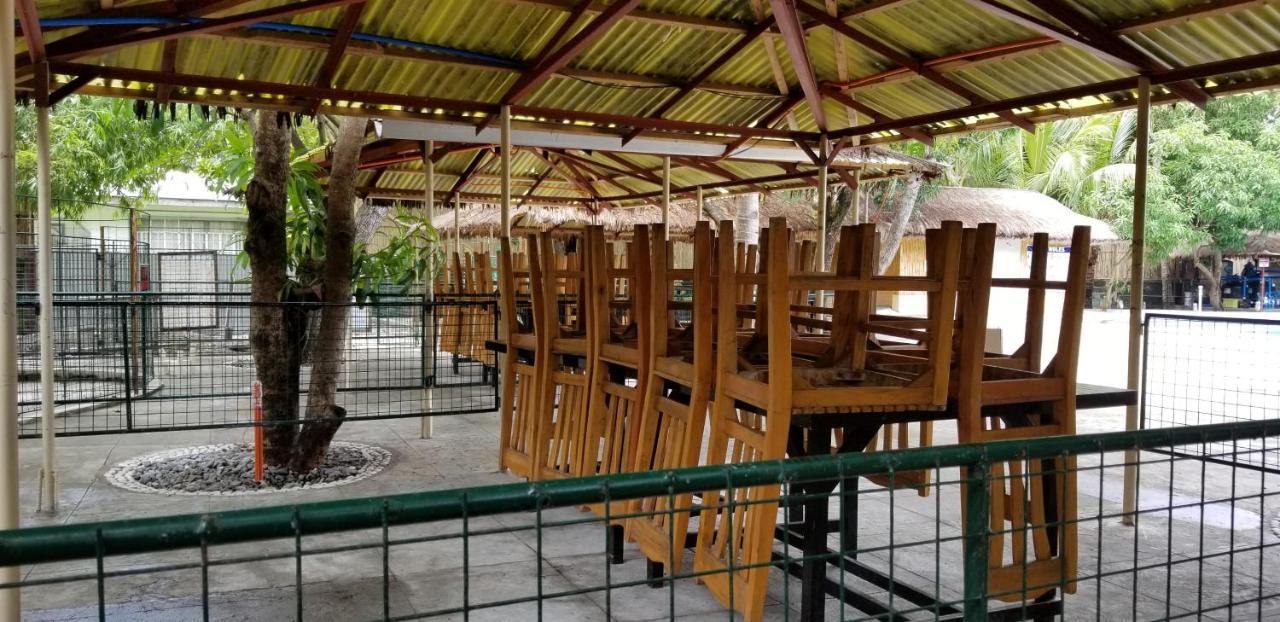 Tagudin Buenavista Family Inn מראה חיצוני תמונה