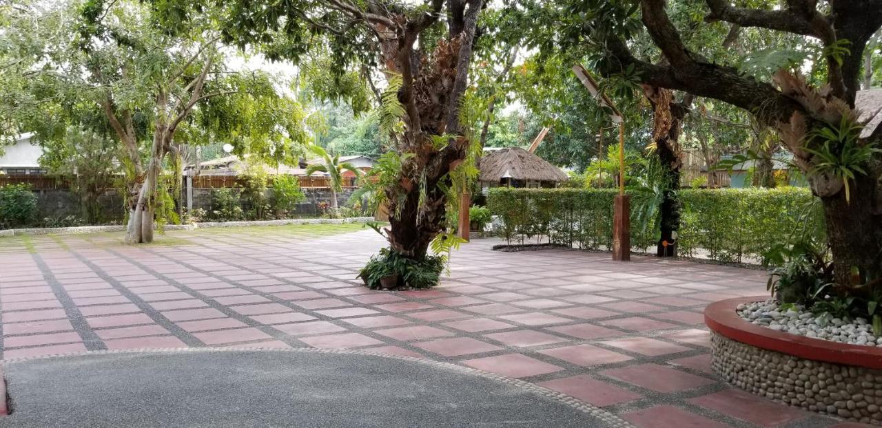 Tagudin Buenavista Family Inn מראה חיצוני תמונה